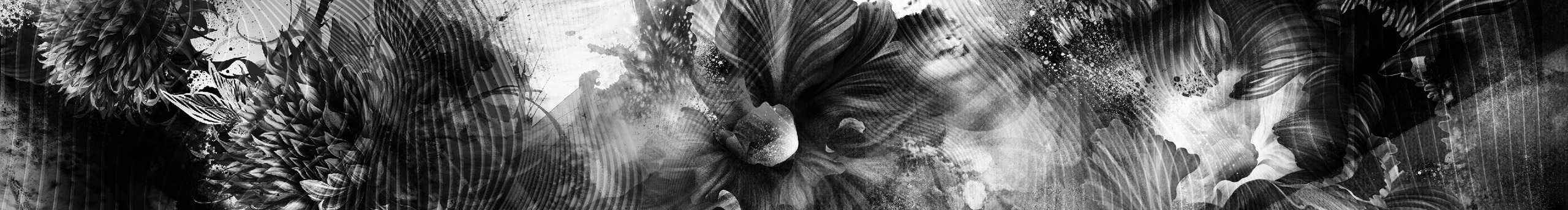 Bossano丁云華的個(gè)人主頁（封面預(yù)覽） - 主頁封面設(shè)置 - 站酷設(shè)計(jì)師Bossano丁云華原創(chuàng)素材 - 站酷ZCOOL