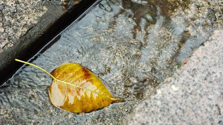 黄晓娜的个人主页（封面预览） - 主页封面设置 - 站酷设计师黄晓娜原创素材 - 站酷ZCOOL