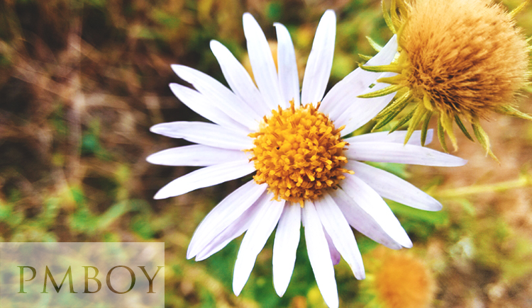 yunff的個(gè)人主頁(yè)（封面預(yù)覽） - 主頁(yè)封面設(shè)置 - 站酷設(shè)計(jì)師yunff原創(chuàng)素材 - 站酷ZCOOL