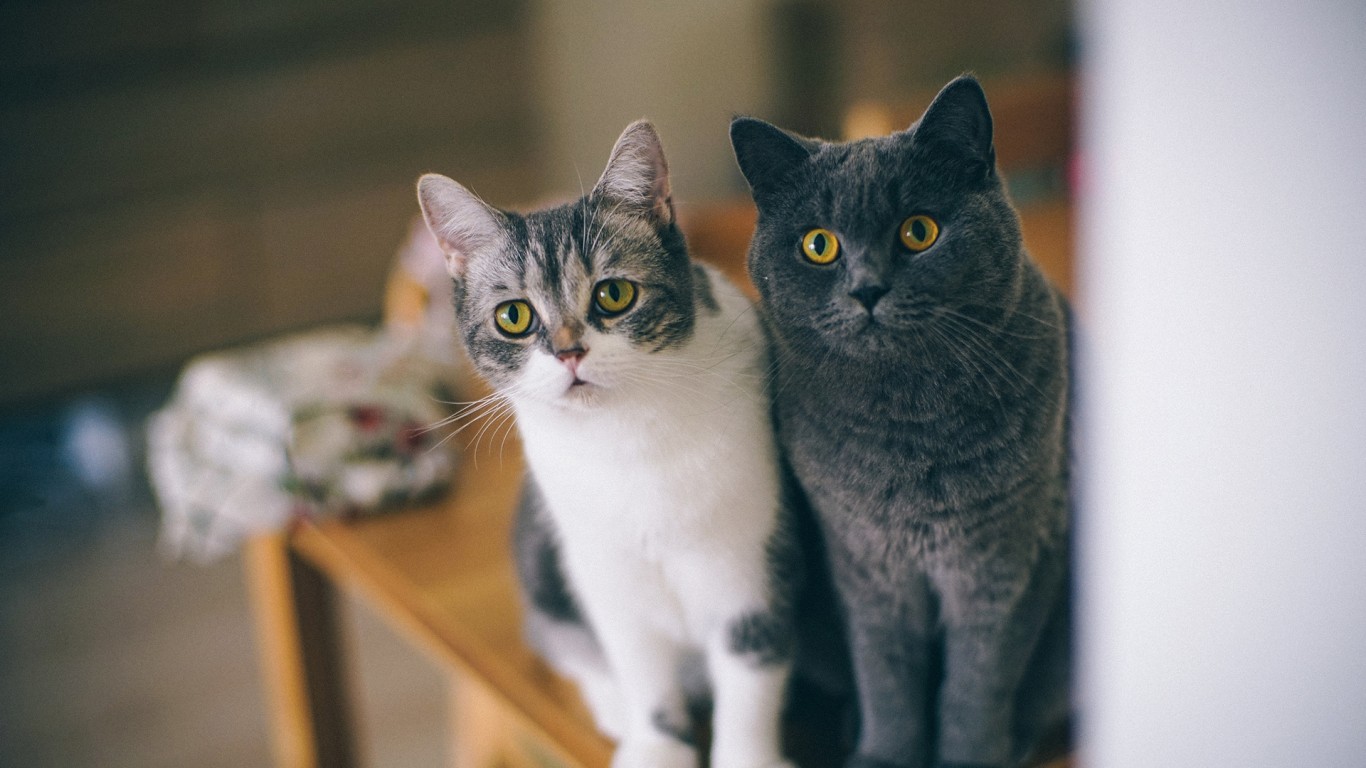 月见大人的个人主页（封面预览） - 主页封面设置 - 站酷设计师月见大人原创素材 - 站酷ZCOOL