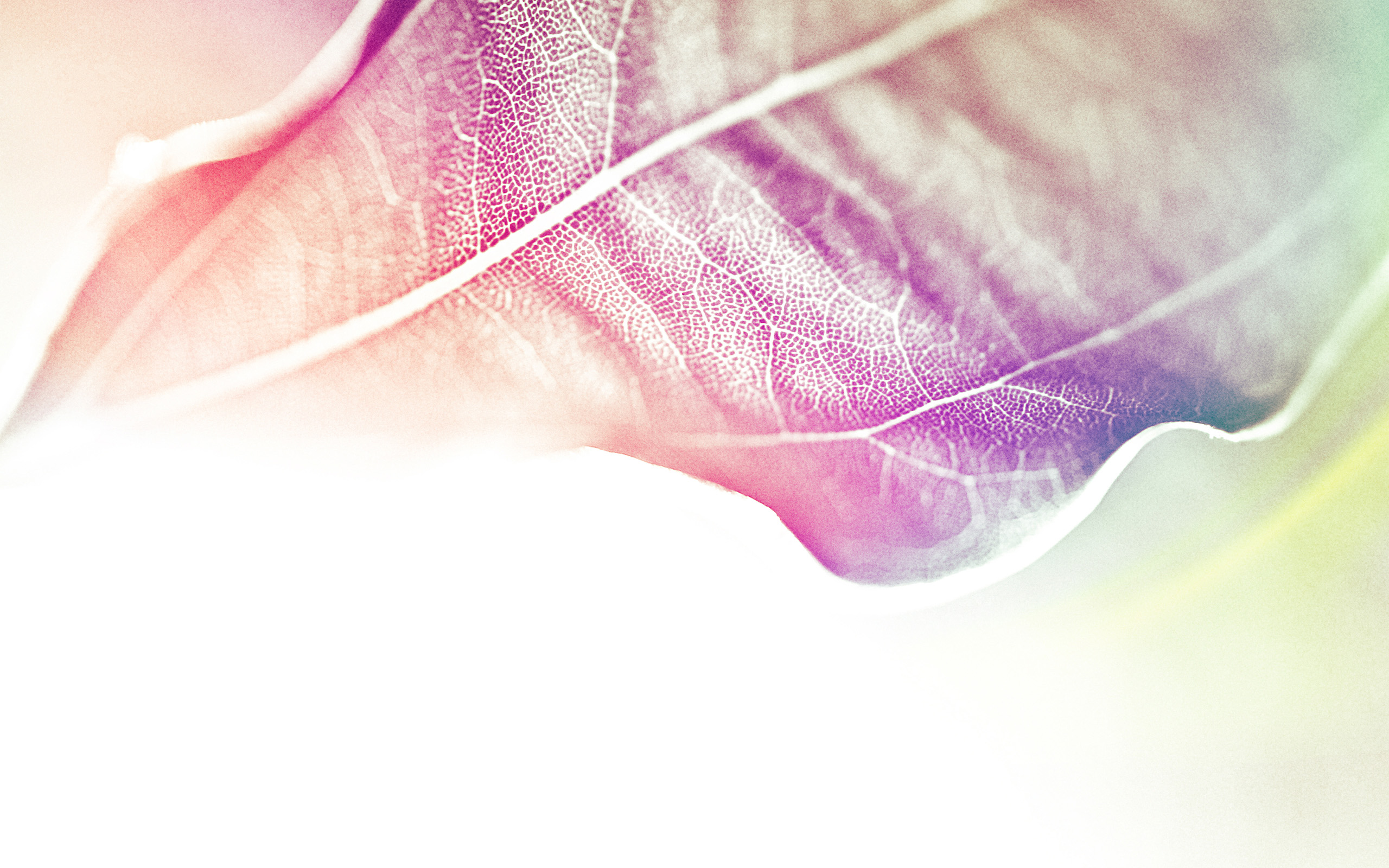 子一君的個(gè)人主頁（封面預(yù)覽） - 主頁封面設(shè)置 - 站酷設(shè)計(jì)師子一君原創(chuàng)素材 - 站酷ZCOOL