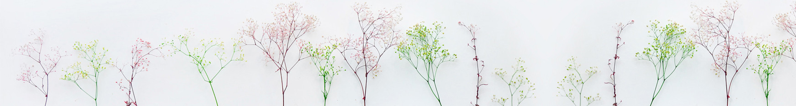 Grain_Rain的個(gè)人主頁(yè)（封面預(yù)覽） - 主頁(yè)封面設(shè)置 - 站酷設(shè)計(jì)師Grain_Rain原創(chuàng)素材 - 站酷ZCOOL