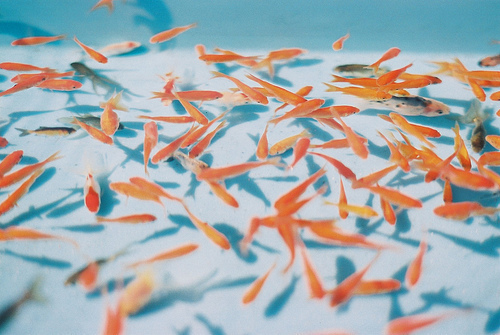 仙貝貝麻袋袋的個人主頁（封面預(yù)覽） - 主頁封面設(shè)置 - 站酷設(shè)計師仙貝貝麻袋袋原創(chuàng)素材 - 站酷ZCOOL