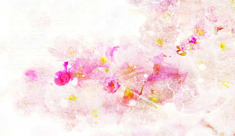 樱若零星的个人主页（封面预览） - 主页封面设置 - 站酷设计师樱若零星原创素材 - 站酷ZCOOL