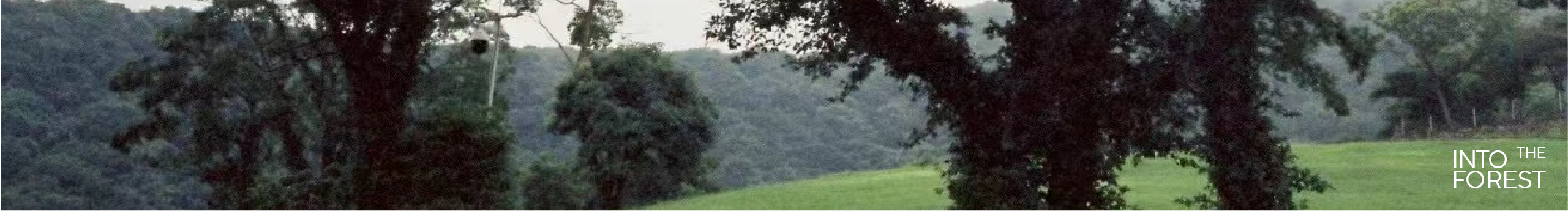 InSilva入林的個(gè)人主頁（封面預(yù)覽） - 主頁封面設(shè)置 - 站酷設(shè)計(jì)師InSilva入林原創(chuàng)素材 - 站酷ZCOOL