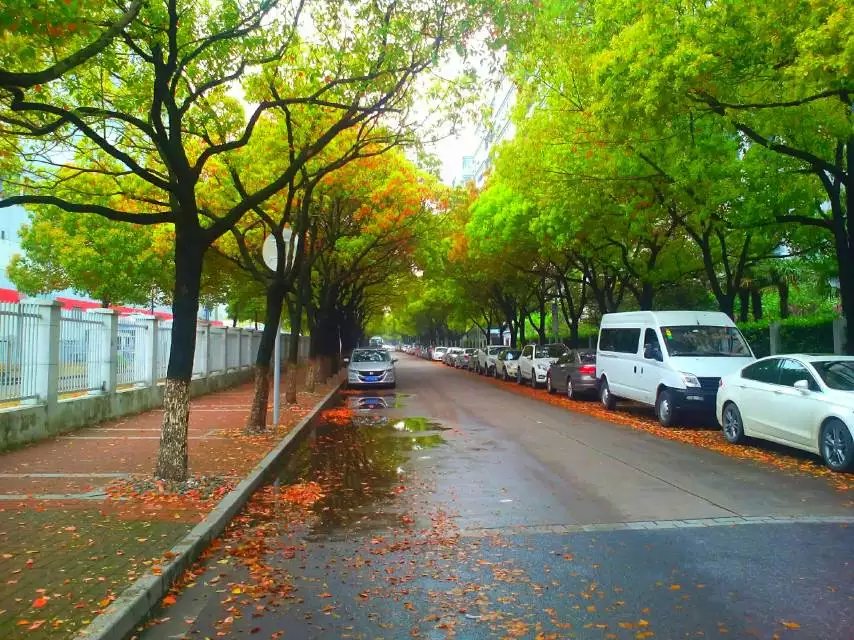 潇十三的个人主页（封面预览） - 主页封面设置 - 站酷设计师潇十三原创素材 - 站酷ZCOOL