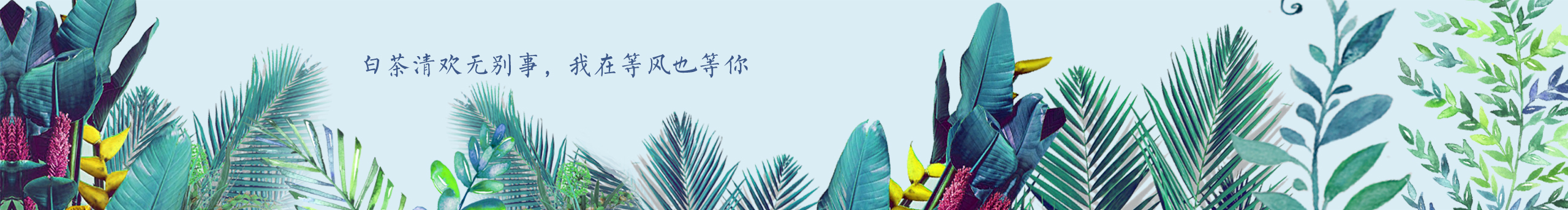 小怪兽QNCUI的个人主页（封面预览） - 主页封面设置 - 站酷设计师小怪兽QNCUI原创素材 - 站酷ZCOOL