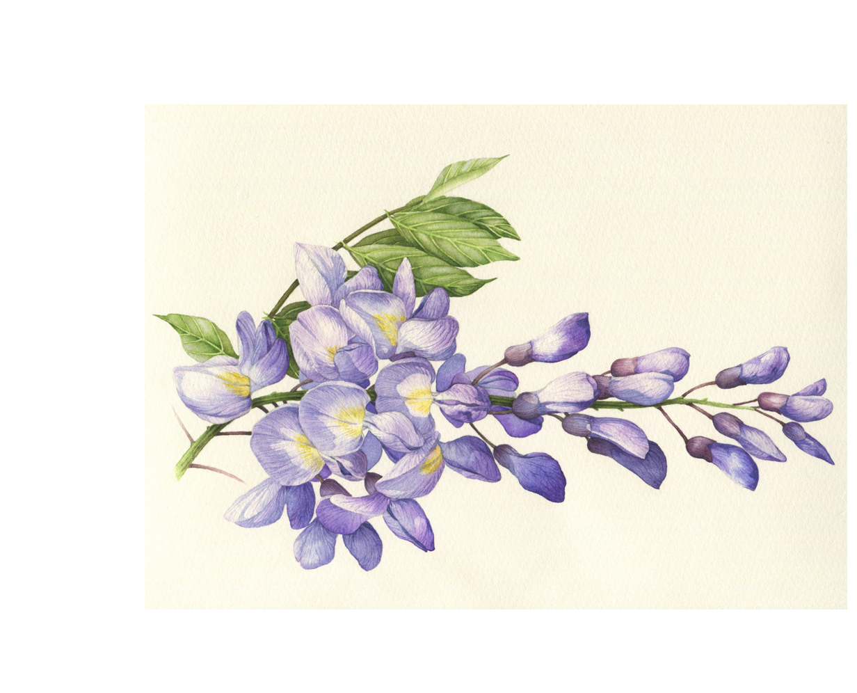 三淼君的個人主頁（封面預覽） - 主頁封面設置 - 站酷設計師三淼君原創(chuàng)素材 - 站酷ZCOOL