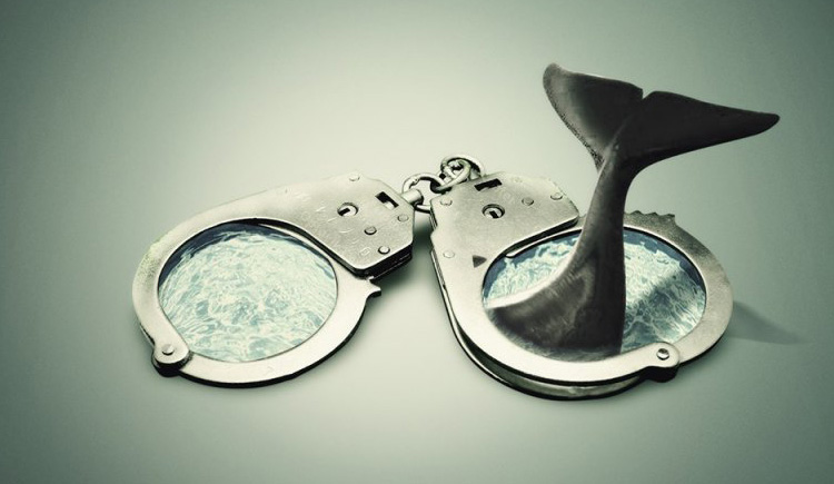 咩小白的个人主页（封面预览） - 主页封面设置 - 站酷设计师咩小白原创素材 - 站酷ZCOOL