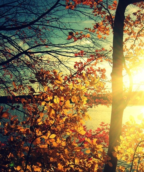 年年碎碎的个人主页（封面预览） - 主页封面设置 - 站酷设计师年年碎碎原创素材 - 站酷ZCOOL