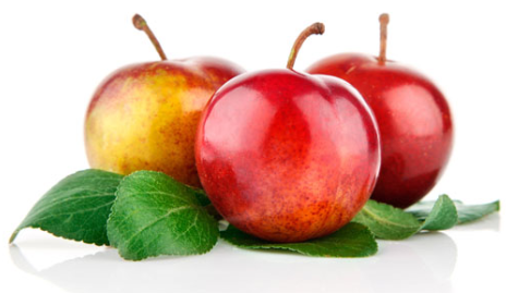 憶南游的個人主頁（封面預(yù)覽） - 主頁封面設(shè)置 - 站酷設(shè)計(jì)師憶南游原創(chuàng)素材 - 站酷ZCOOL