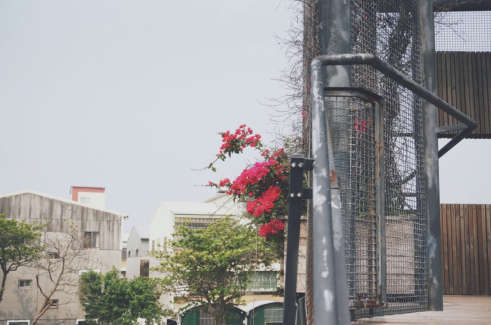 是八七呀的个人主页（封面预览） - 主页封面设置 - 站酷设计师是八七呀原创素材 - 站酷ZCOOL