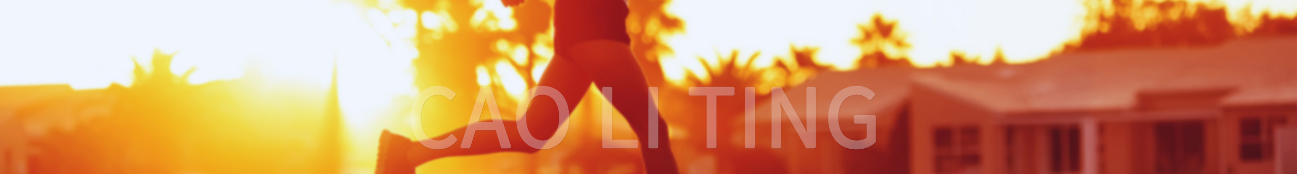 蚂蚁与狮子c的个人主页（封面预览） - 主页封面设置 - 站酷设计师蚂蚁与狮子c原创素材 - 站酷ZCOOL