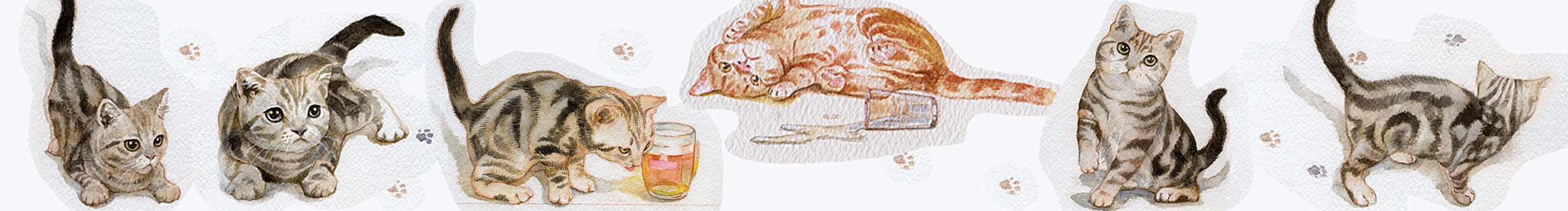 CatCastleDZ的个人主页（封面预览） - 主页封面设置 - 站酷设计师CatCastleDZ原创素材 - 站酷ZCOOL