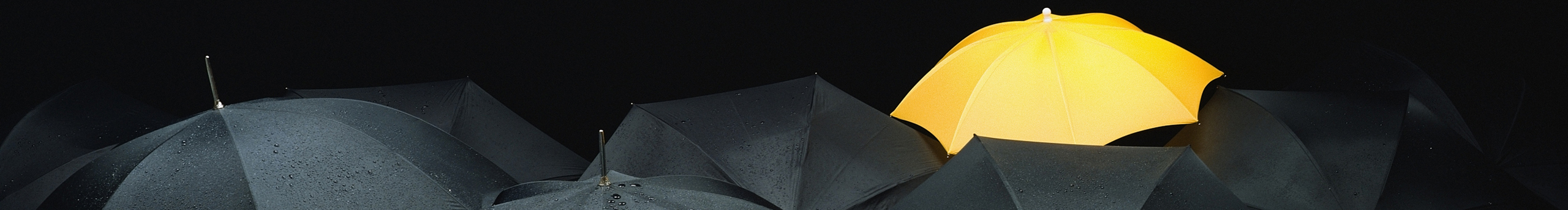 金櫻子的個(gè)人主頁(yè)（封面預(yù)覽） - 主頁(yè)封面設(shè)置 - 站酷設(shè)計(jì)師金櫻子原創(chuàng)素材 - 站酷ZCOOL