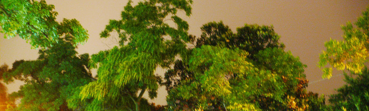 MUGU工舍的个人主页（封面预览） - 主页封面设置 - 站酷设计师MUGU工舍原创素材 - 站酷ZCOOL