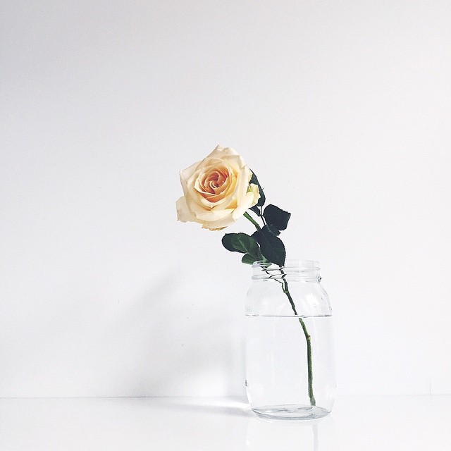 苏丹苏丹苏丹的个人主页（封面预览） - 主页封面设置 - 站酷设计师苏丹苏丹苏丹原创素材 - 站酷ZCOOL