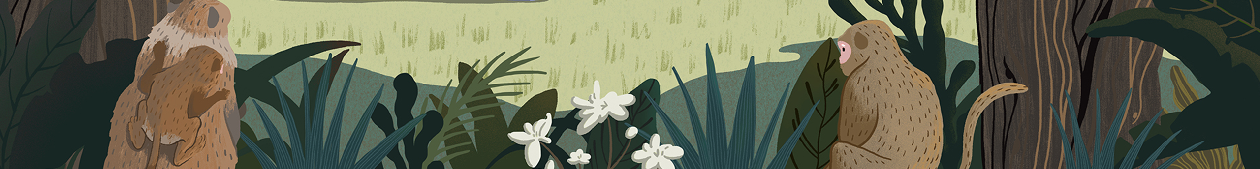 花生酱酱米的个人主页（封面预览） - 主页封面设置 - 站酷设计师花生酱酱米原创素材 - 站酷ZCOOL