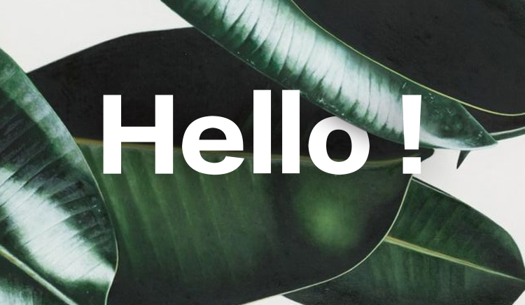 michelle88619的个人主页（封面预览） - 主页封面设置 - 站酷设计师michelle88619原创素材 - 站酷ZCOOL