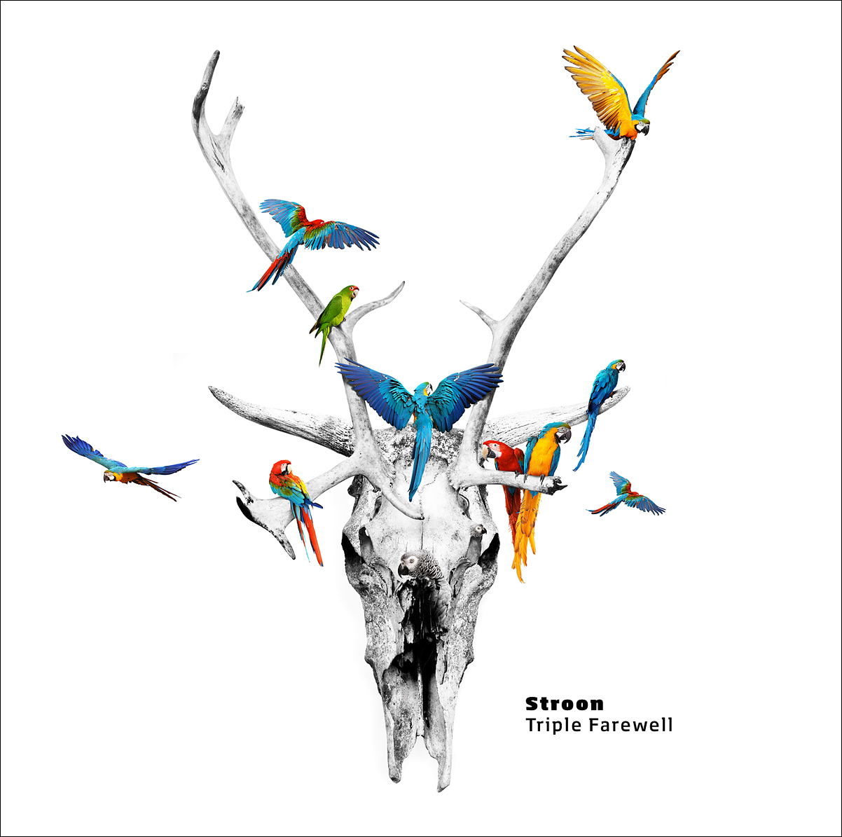 Rubyjane的个人主页（封面预览） - 主页封面设置 - 站酷设计师Rubyjane原创素材 - 站酷ZCOOL