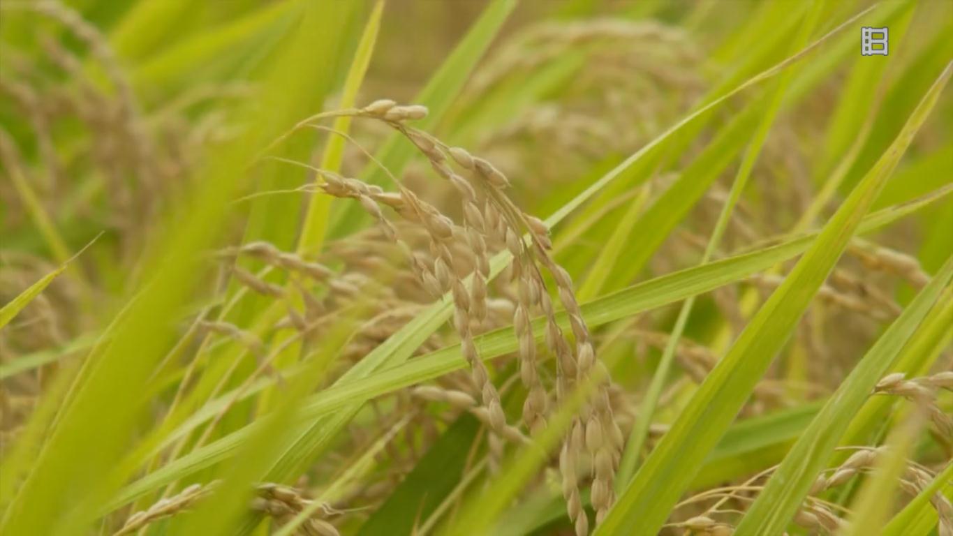 MarskingL的个人主页（封面预览） - 主页封面设置 - 站酷设计师MarskingL原创素材 - 站酷ZCOOL