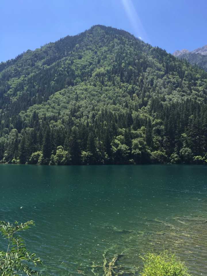 小杨啦啦啦的个人主页（封面预览） - 主页封面设置 - 站酷设计师小杨啦啦啦原创素材 - 站酷ZCOOL