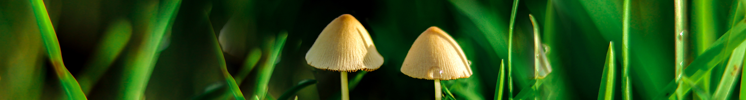 张希设计的个人主页（封面预览） - 主页封面设置 - 站酷设计师张希设计原创素材 - 站酷ZCOOL