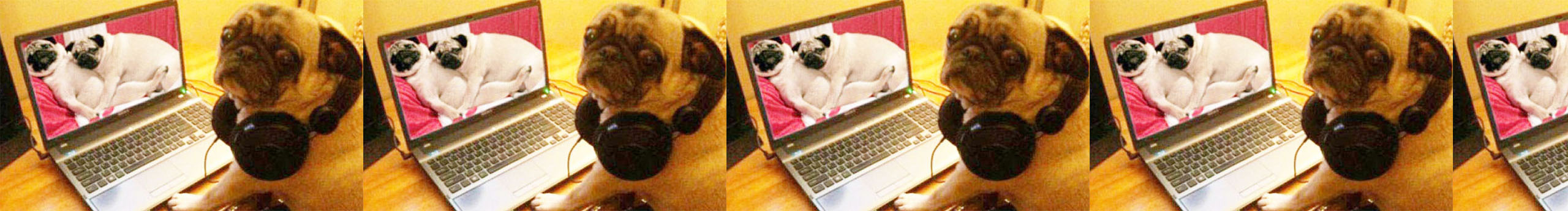 billiejean的个人主页（封面预览） - 主页封面设置 - 站酷设计师billiejean原创素材 - 站酷ZCOOL