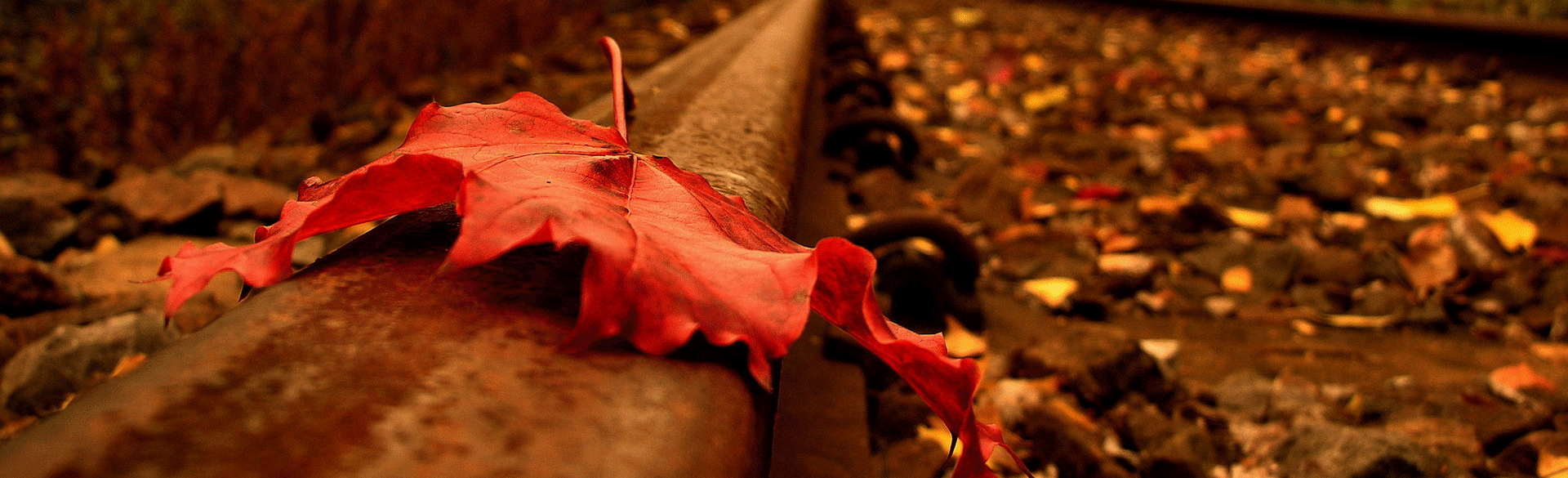 路漫長(zhǎng)起步的個(gè)人主頁(yè)（封面預(yù)覽） - 主頁(yè)封面設(shè)置 - 站酷設(shè)計(jì)師路漫長(zhǎng)起步原創(chuàng)素材 - 站酷ZCOOL