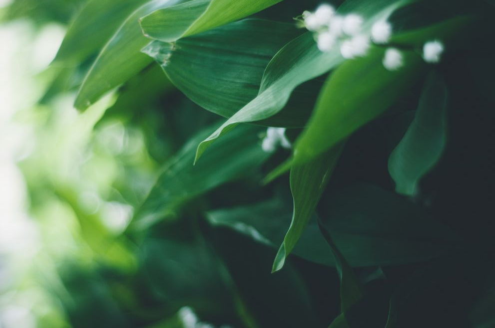 Z50466652的個(gè)人主頁(yè)（封面預(yù)覽） - 主頁(yè)封面設(shè)置 - 站酷設(shè)計(jì)師Z50466652原創(chuàng)素材 - 站酷ZCOOL