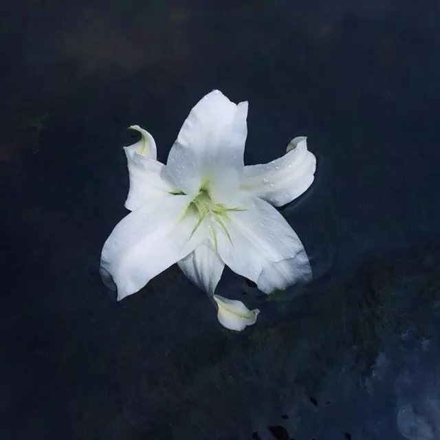 Yuuii的个人主页（封面预览） - 主页封面设置 - 站酷设计师Yuuii原创素材 - 站酷ZCOOL