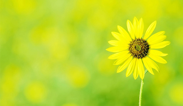 艾希設(shè)計(jì)的個(gè)人主頁(yè)（封面預(yù)覽） - 主頁(yè)封面設(shè)置 - 站酷設(shè)計(jì)師艾希設(shè)計(jì)原創(chuàng)素材 - 站酷ZCOOL