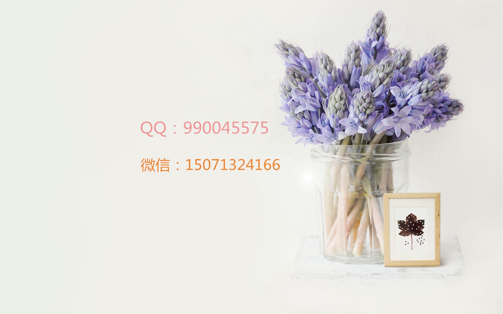 文西ice的個人主頁（封面預覽） - 主頁封面設置 - 站酷設計師文西ice原創(chuàng)素材 - 站酷ZCOOL