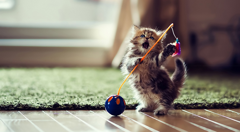 芒果摩奇的个人主页（封面预览） - 主页封面设置 - 站酷设计师芒果摩奇原创素材 - 站酷ZCOOL