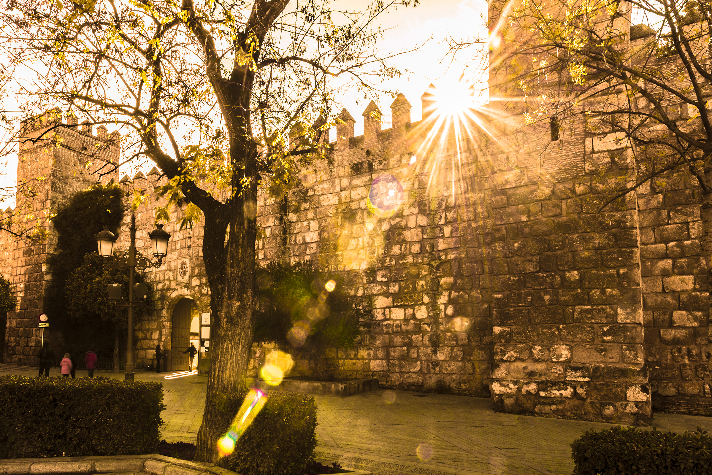 ChungCao的个人主页（封面预览） - 主页封面设置 - 站酷设计师ChungCao原创素材 - 站酷ZCOOL