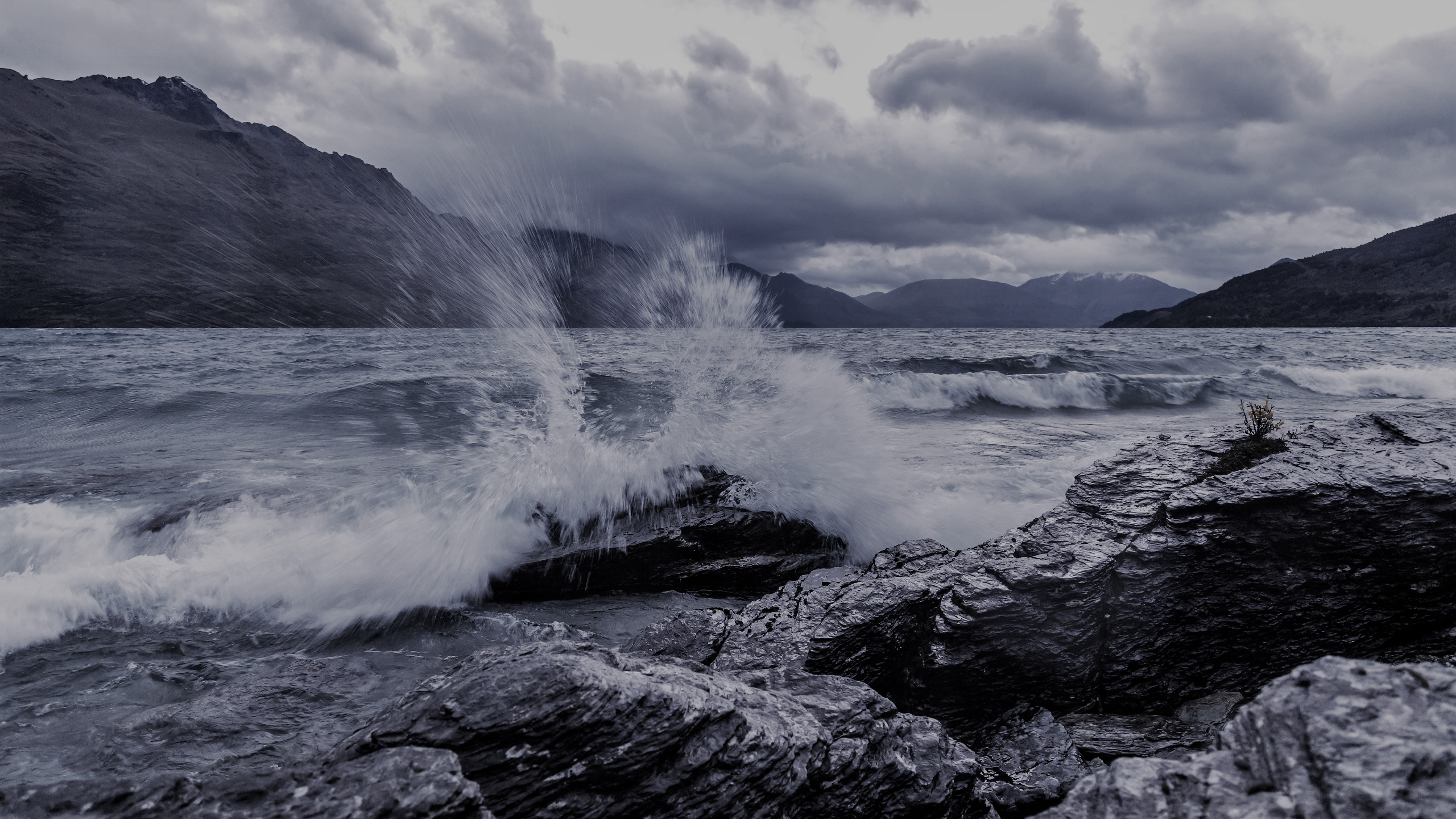 早宝安的个人主页（封面预览） - 主页封面设置 - 站酷设计师早宝安原创素材 - 站酷ZCOOL