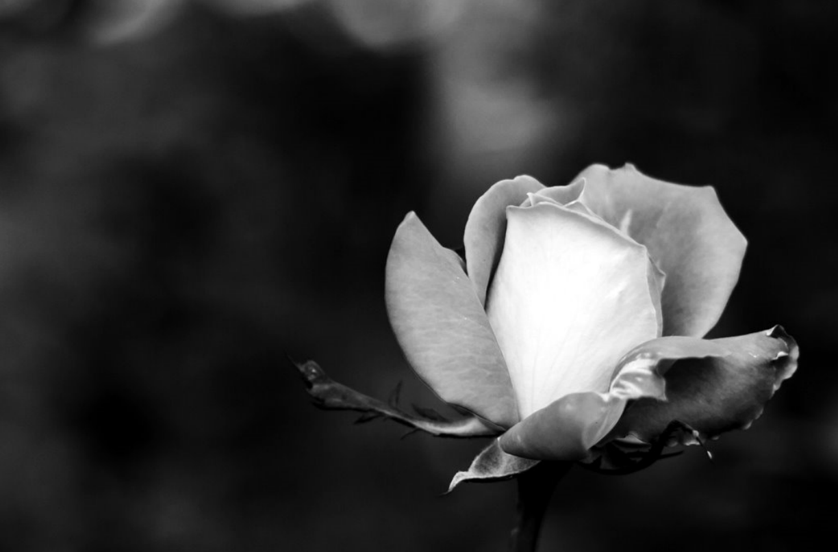 reasontan的個人主頁（封面預覽） - 主頁封面設(shè)置 - 站酷設(shè)計師reasontan原創(chuàng)素材 - 站酷ZCOOL