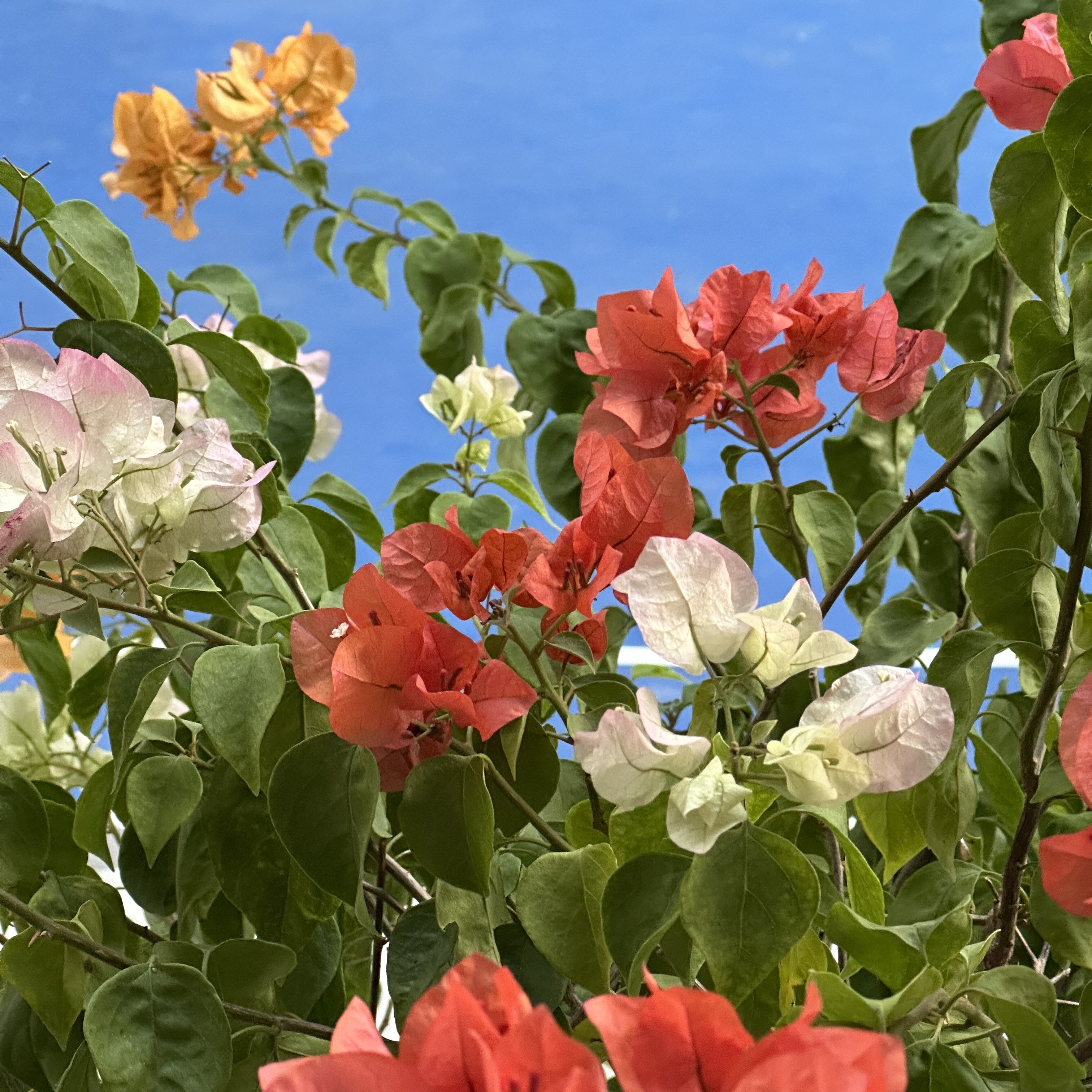 魏安迪的个人主页（封面预览） - 主页封面设置 - 站酷设计师魏安迪原创素材 - 站酷ZCOOL