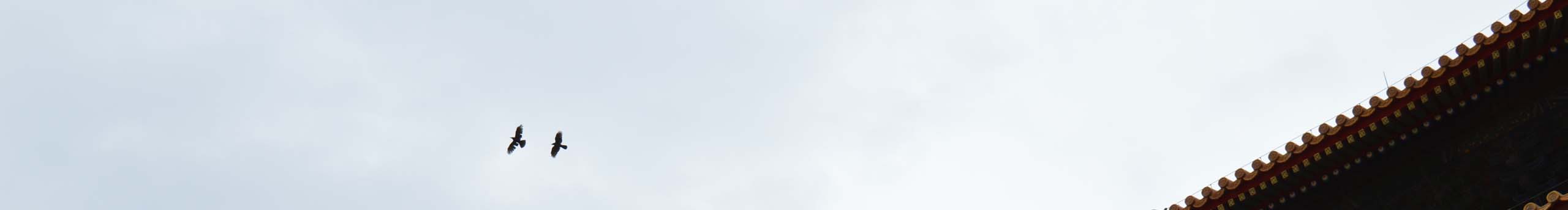 阿啾MORETREE的个人主页（封面预览） - 主页封面设置 - 站酷设计师阿啾MORETREE原创素材 - 站酷ZCOOL