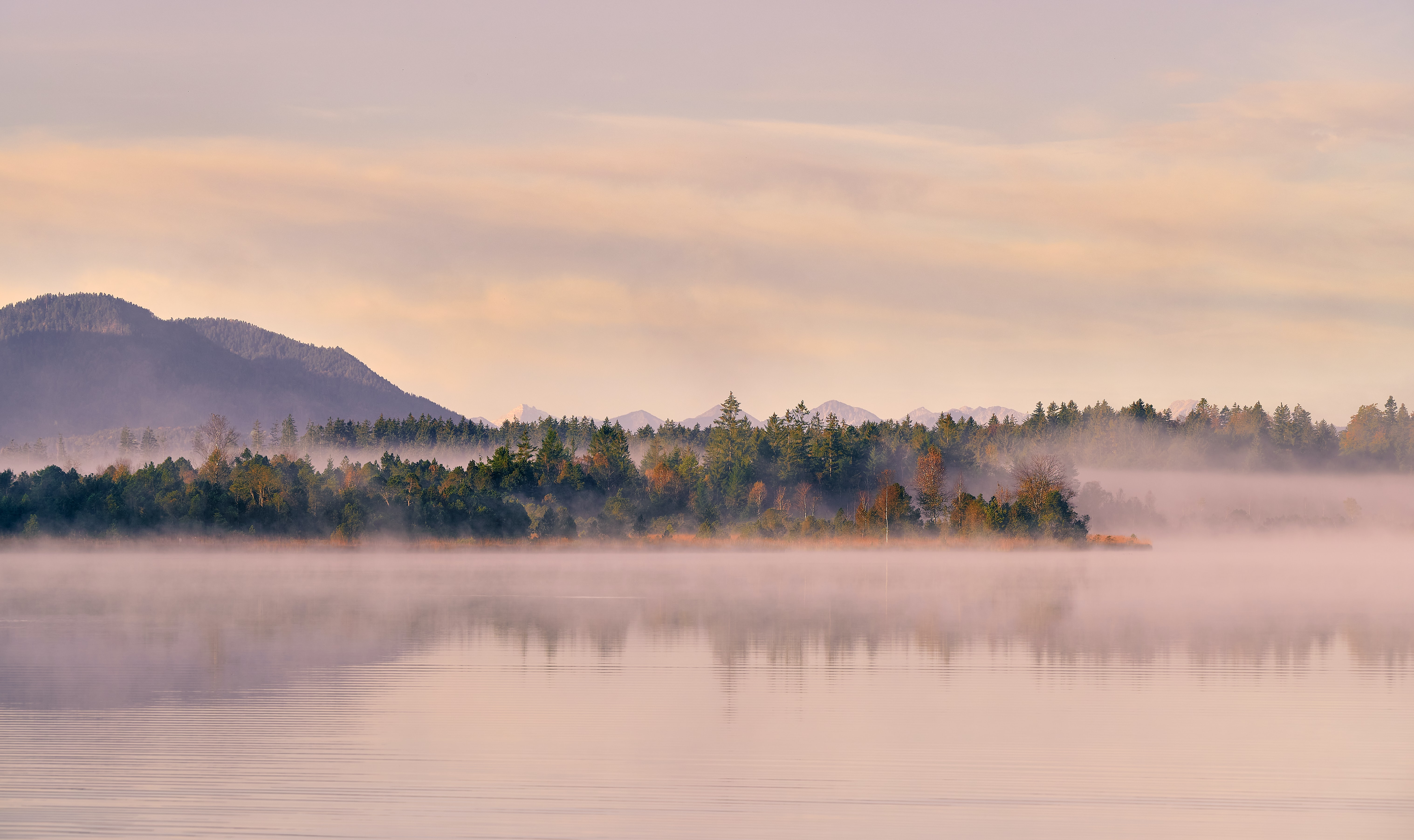 传奇是我唱的的个人主页（封面预览） - 主页封面设置 - 站酷设计师传奇是我唱的原创素材 - 站酷ZCOOL