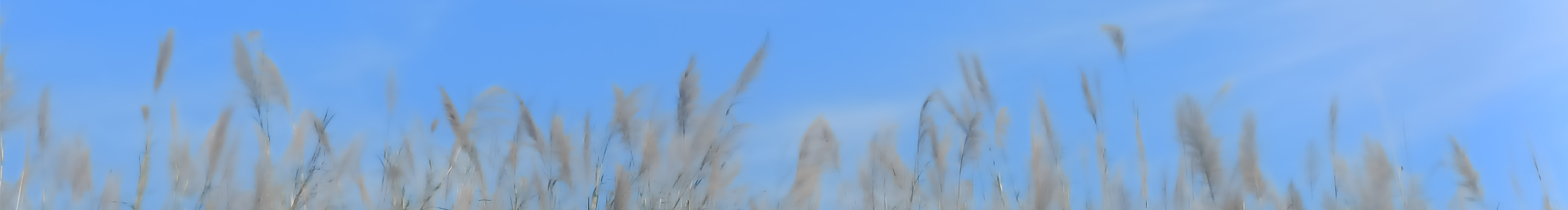 堪徵言的个人主页（封面预览） - 主页封面设置 - 站酷设计师堪徵言原创素材 - 站酷ZCOOL