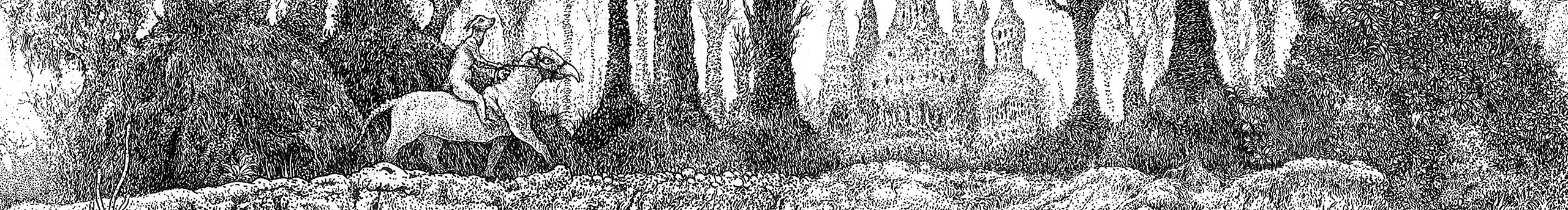 綠野仙蹤WYT的個人主頁（封面預(yù)覽） - 主頁封面設(shè)置 - 站酷設(shè)計師綠野仙蹤WYT原創(chuàng)素材 - 站酷ZCOOL