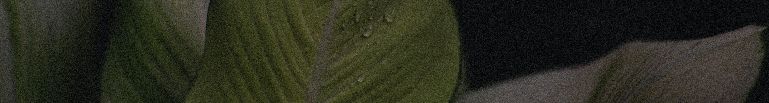 枕三水的个人主页（封面预览） - 主页封面设置 - 站酷设计师枕三水原创素材 - 站酷ZCOOL
