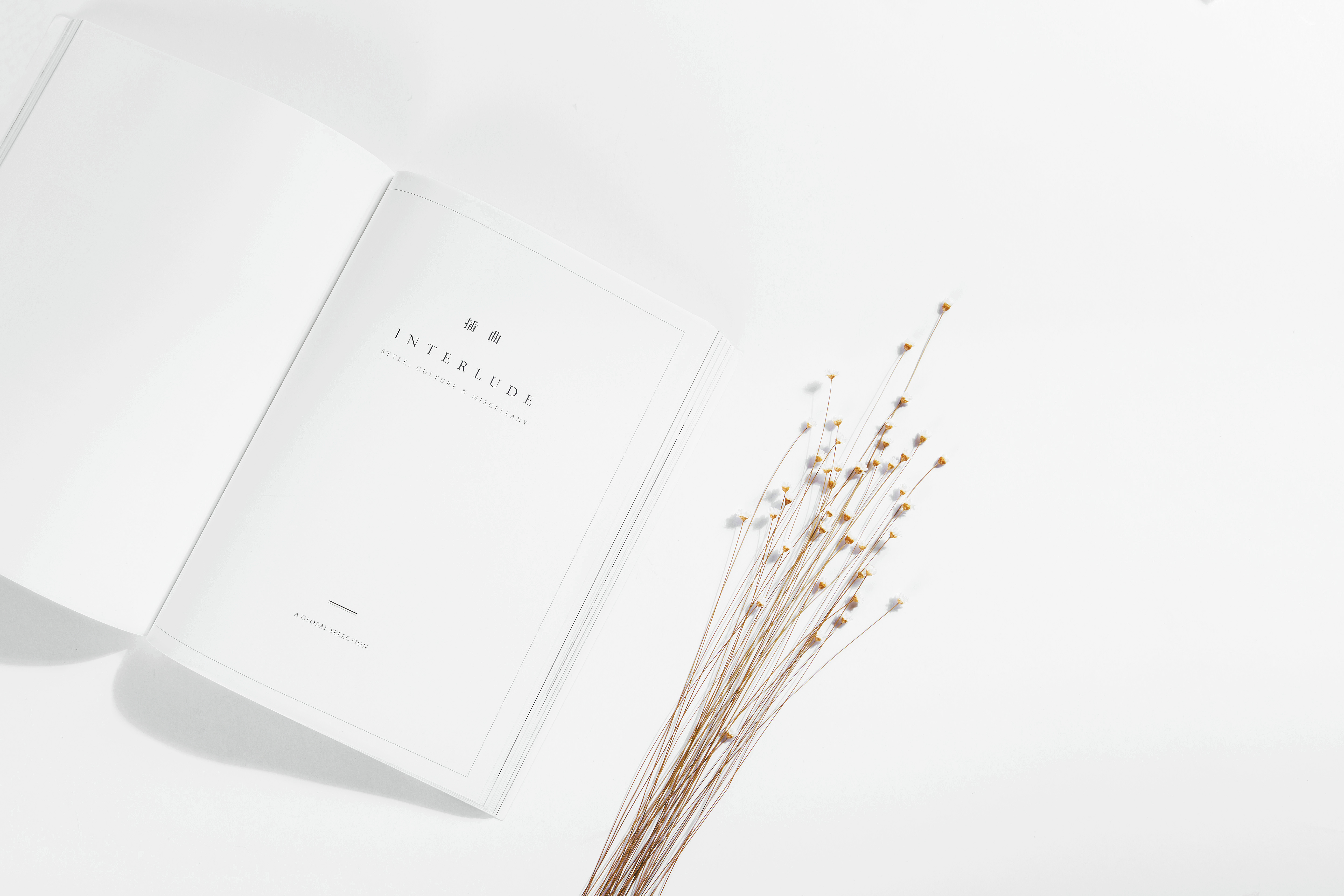 南溪l的个人主页（封面预览） - 主页封面设置 - 站酷设计师南溪l原创素材 - 站酷ZCOOL