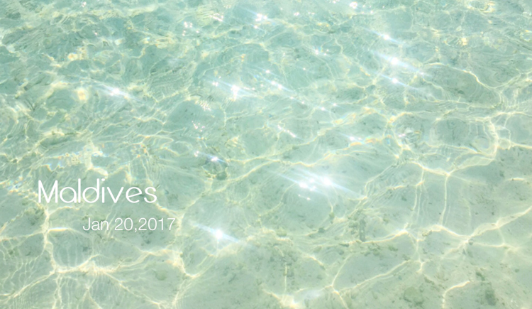 晚露Meena的個(gè)人主頁（封面預(yù)覽） - 主頁封面設(shè)置 - 站酷設(shè)計(jì)師晚露Meena原創(chuàng)素材 - 站酷ZCOOL