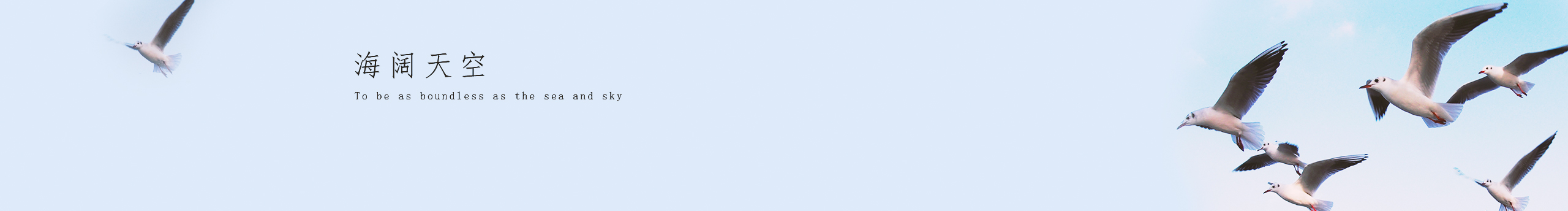 你好诺夏的个人主页（封面预览） - 主页封面设置 - 站酷设计师你好诺夏原创素材 - 站酷ZCOOL