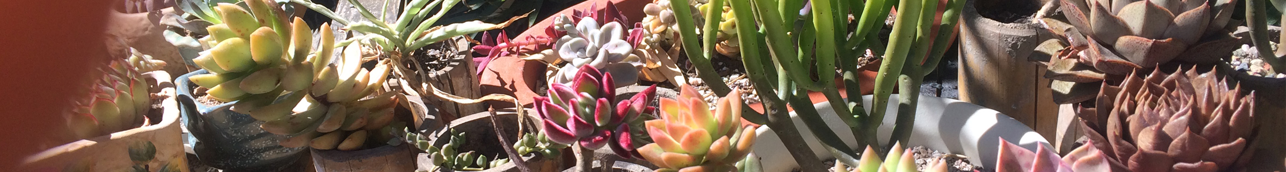 二八小摩托的个人主页（封面预览） - 主页封面设置 - 站酷设计师二八小摩托原创素材 - 站酷ZCOOL