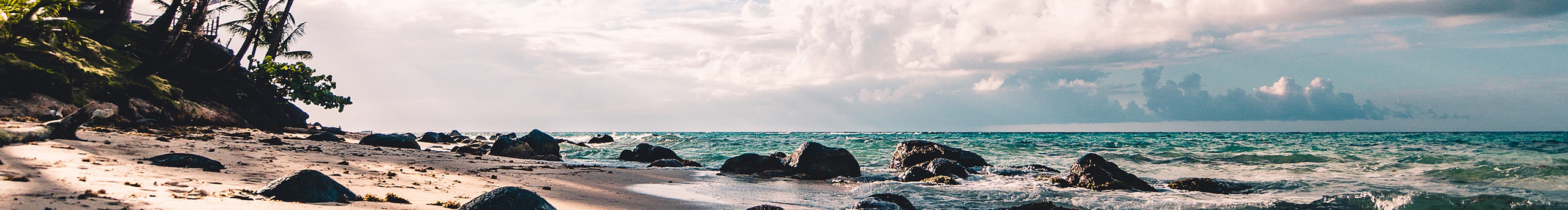 可以飞的鱼的个人主页（封面预览） - 主页封面设置 - 站酷设计师可以飞的鱼原创素材 - 站酷ZCOOL