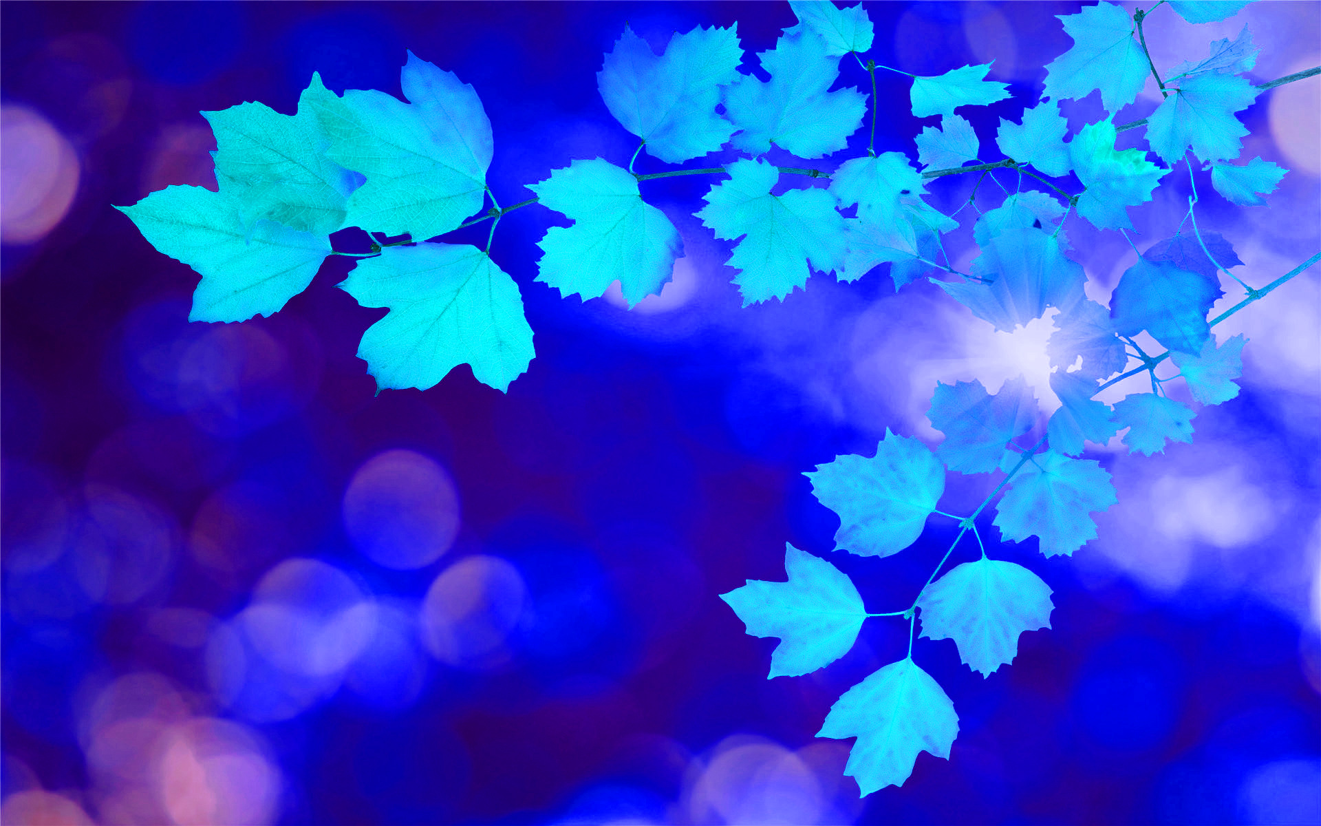 時(shí)光visitor的個(gè)人主頁（封面預(yù)覽） - 主頁封面設(shè)置 - 站酷設(shè)計(jì)師時(shí)光visitor原創(chuàng)素材 - 站酷ZCOOL