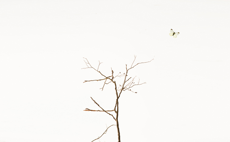 CocoonBrand離繭的個人主頁（封面預(yù)覽） - 主頁封面設(shè)置 - 站酷設(shè)計師CocoonBrand離繭原創(chuàng)素材 - 站酷ZCOOL